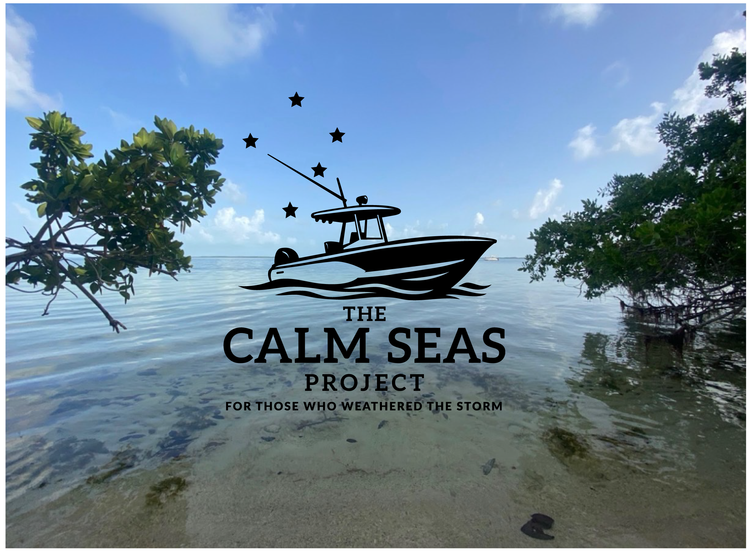 The Calm Seas Project logo